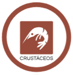 Crustáceos Crustáceos